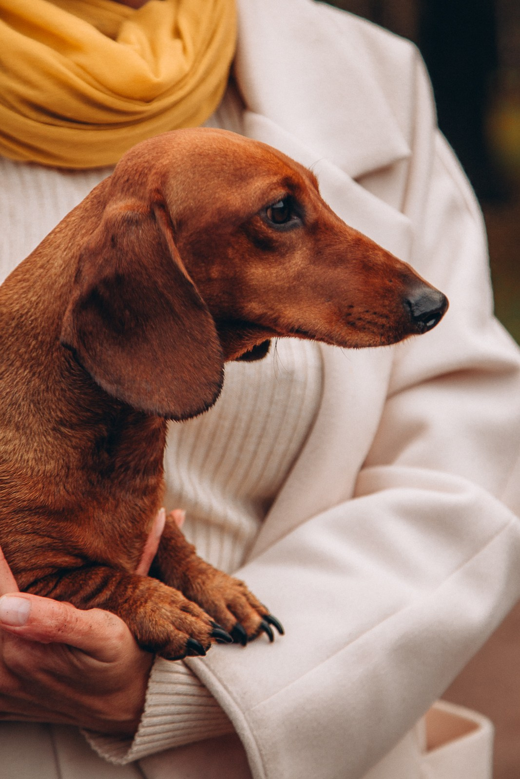 Оля Корж | подСОЛНЕЧНЫЙ фотограф | Санкт-Петербург