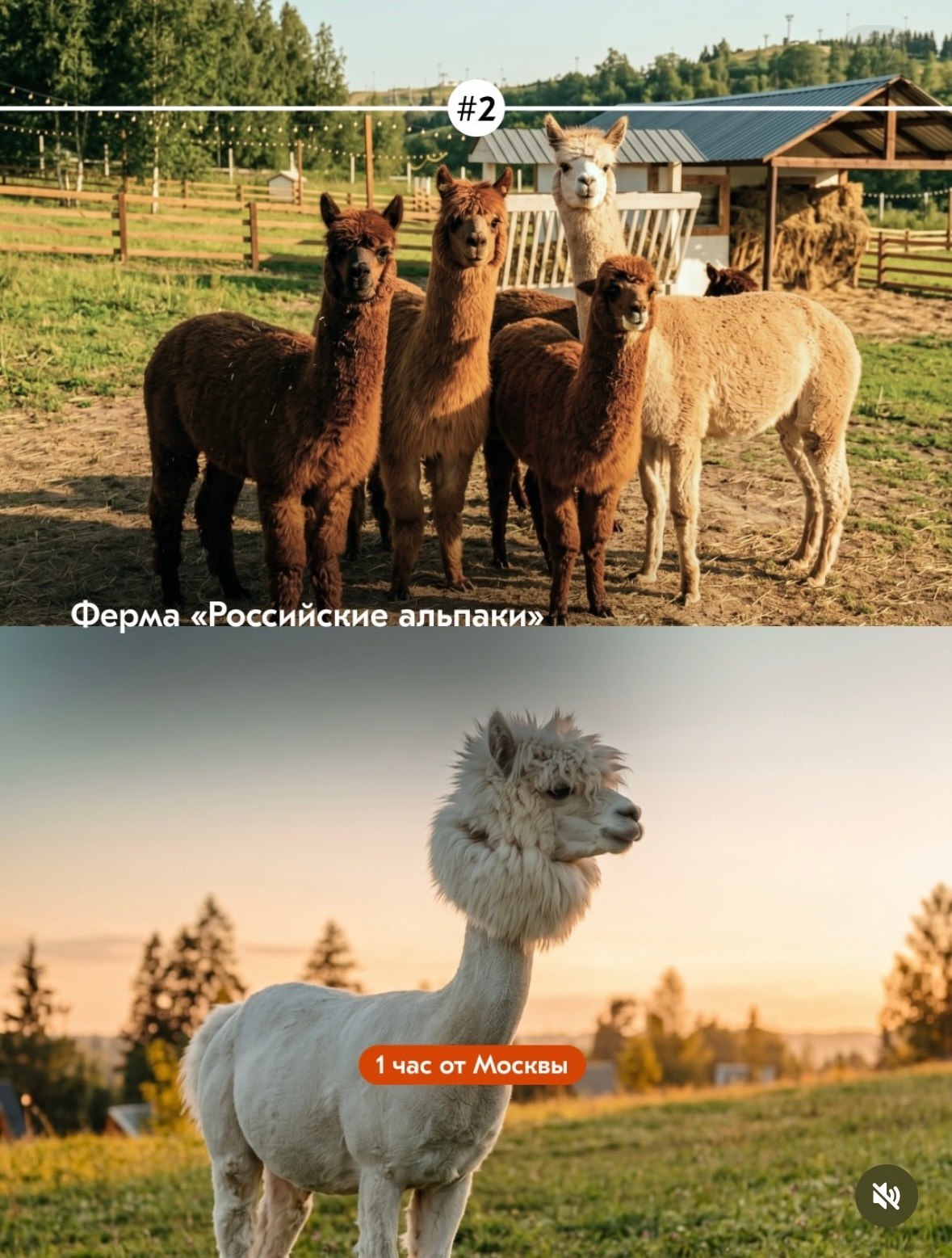 Природные. Фотограф Светлана Мерзлякова
