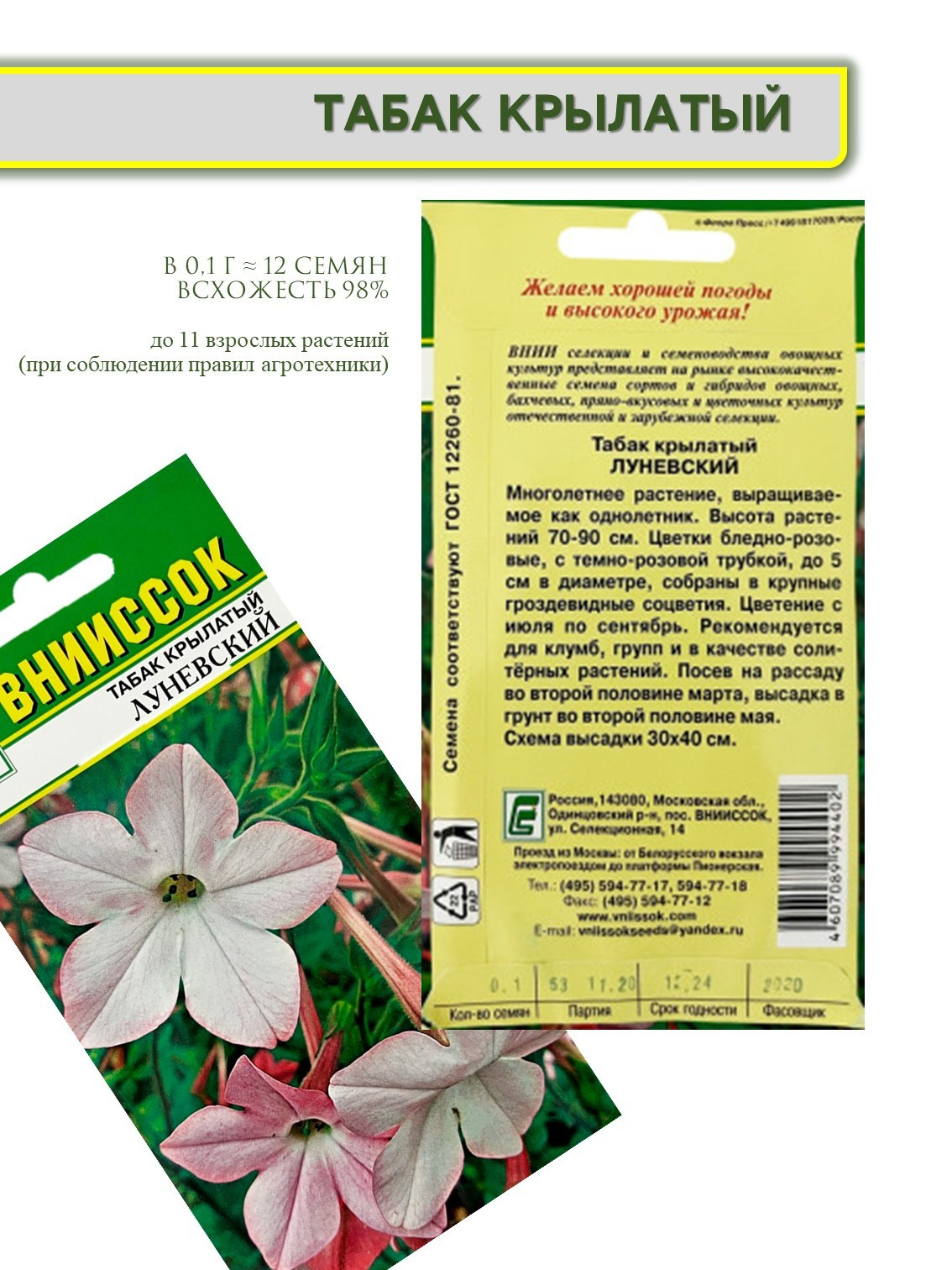 Инфографика. Фотограф в Москве Дмитровская Дарья