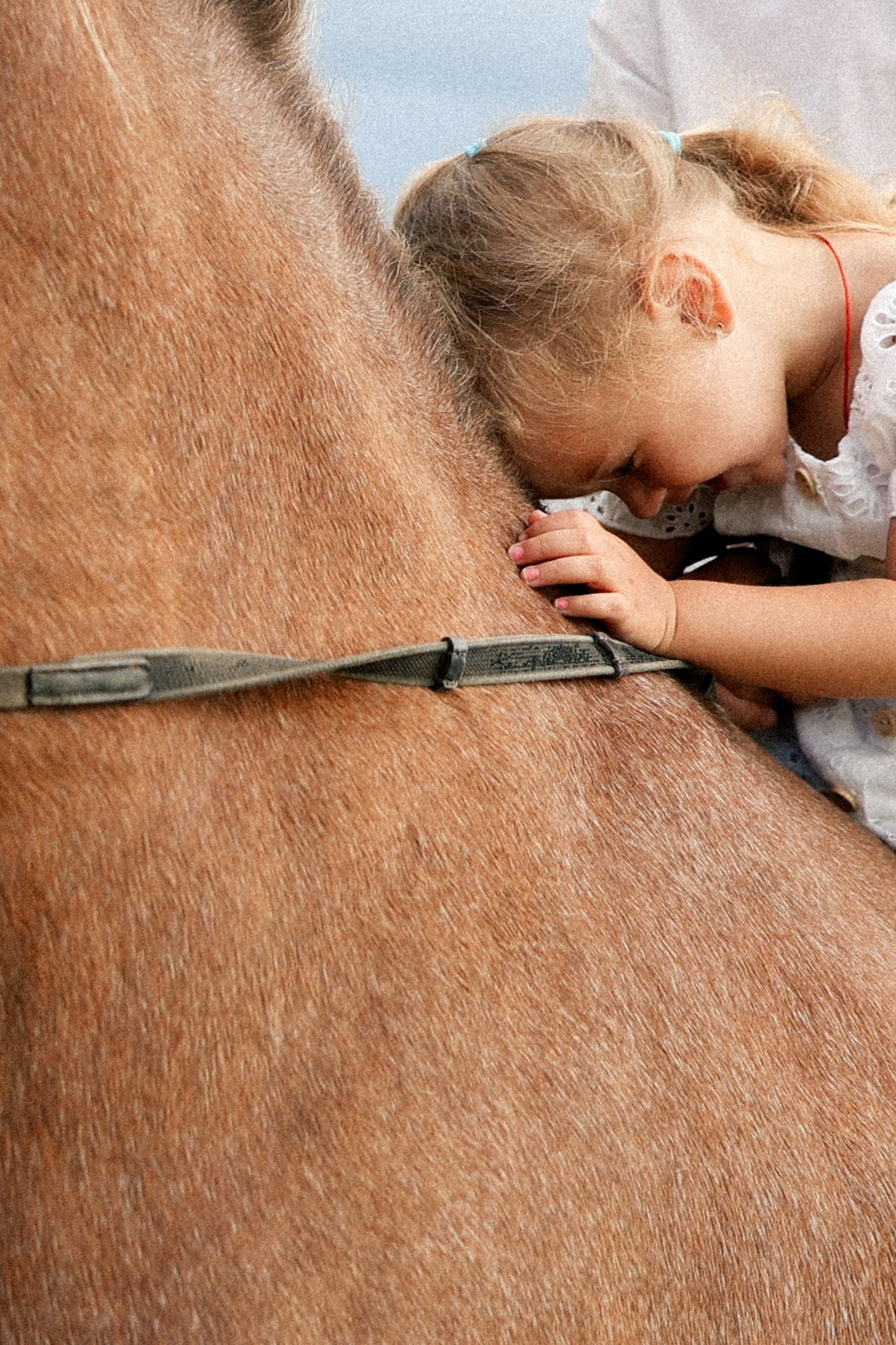 Мы. Фотограф НатаФото (Наталья Яковенко) Дмитров Москва Питер