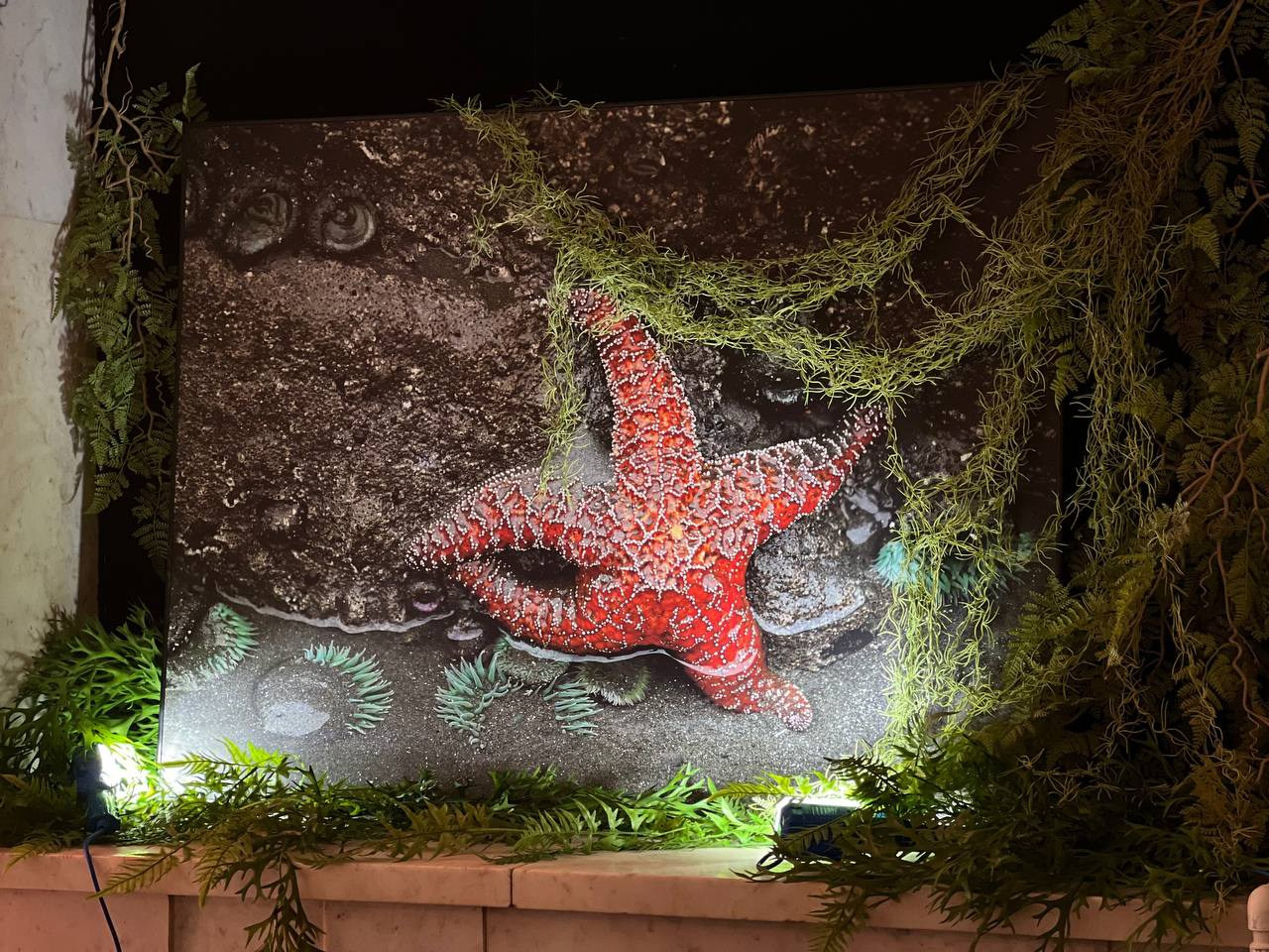 УРАВНЕНИЕ С НЕИЗВЕСТНЫМИ Фотовыставка Надежды Найденовой в КЦ ЗИЛ. Reportage, architectural, fine art photographer Lena Melnikova in Moscow