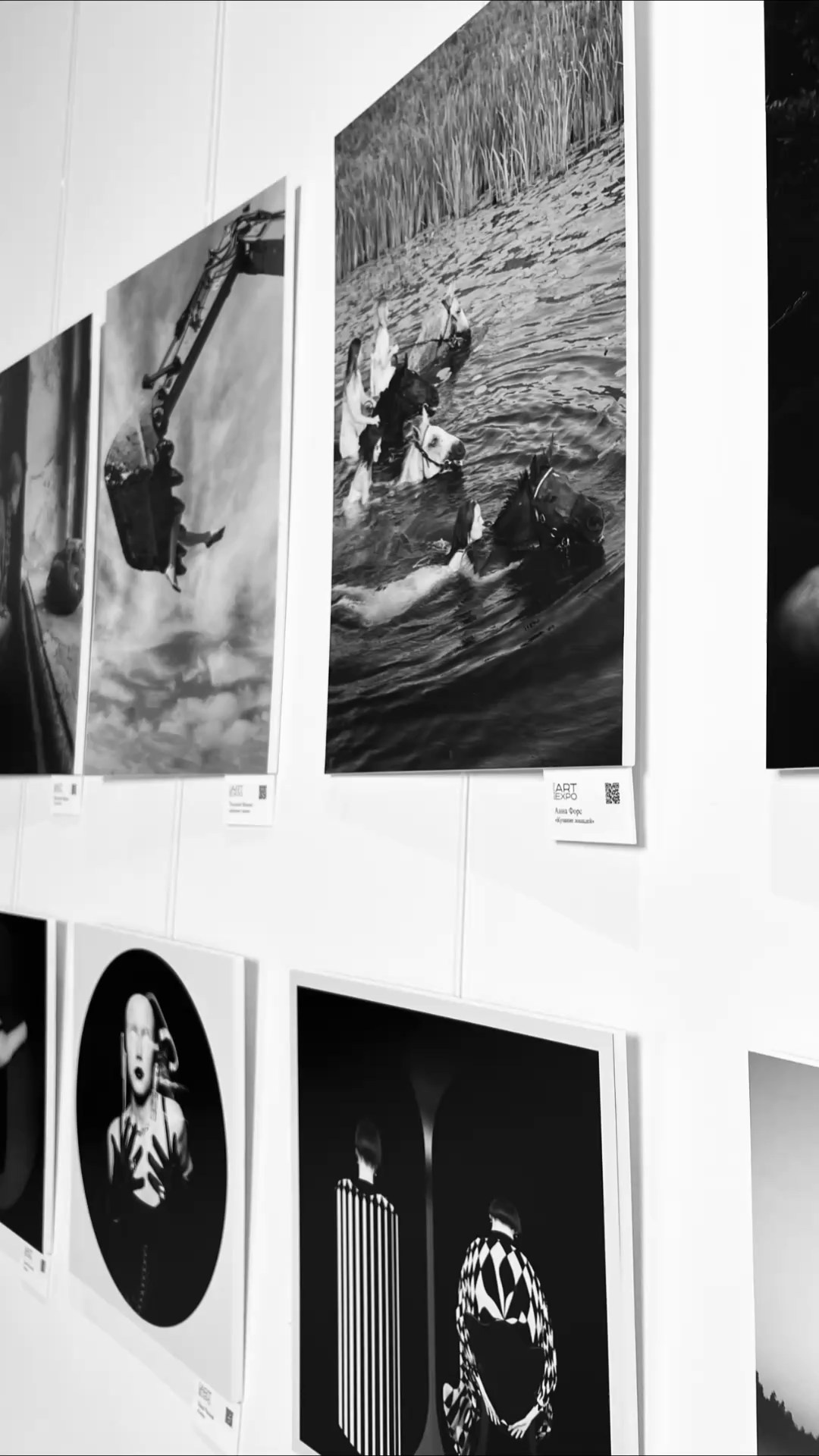 Выставки. Арт-ню фотограф, Фотохудожник в Москве Анна Форс