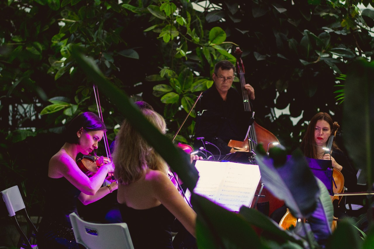 Petro Art — квартет в Таврическом саду (Рок Хиты). EvgenyCraft