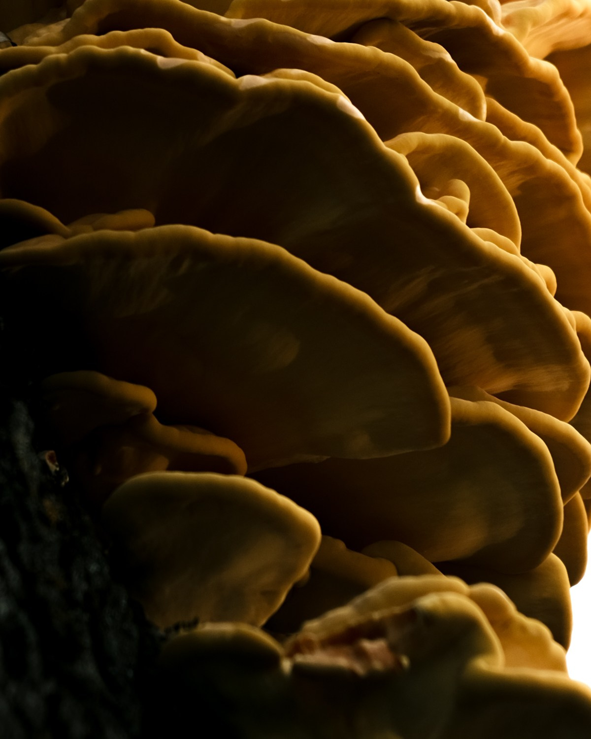 ДИЛ / Street Lookbook. DISEMICHASNOVA