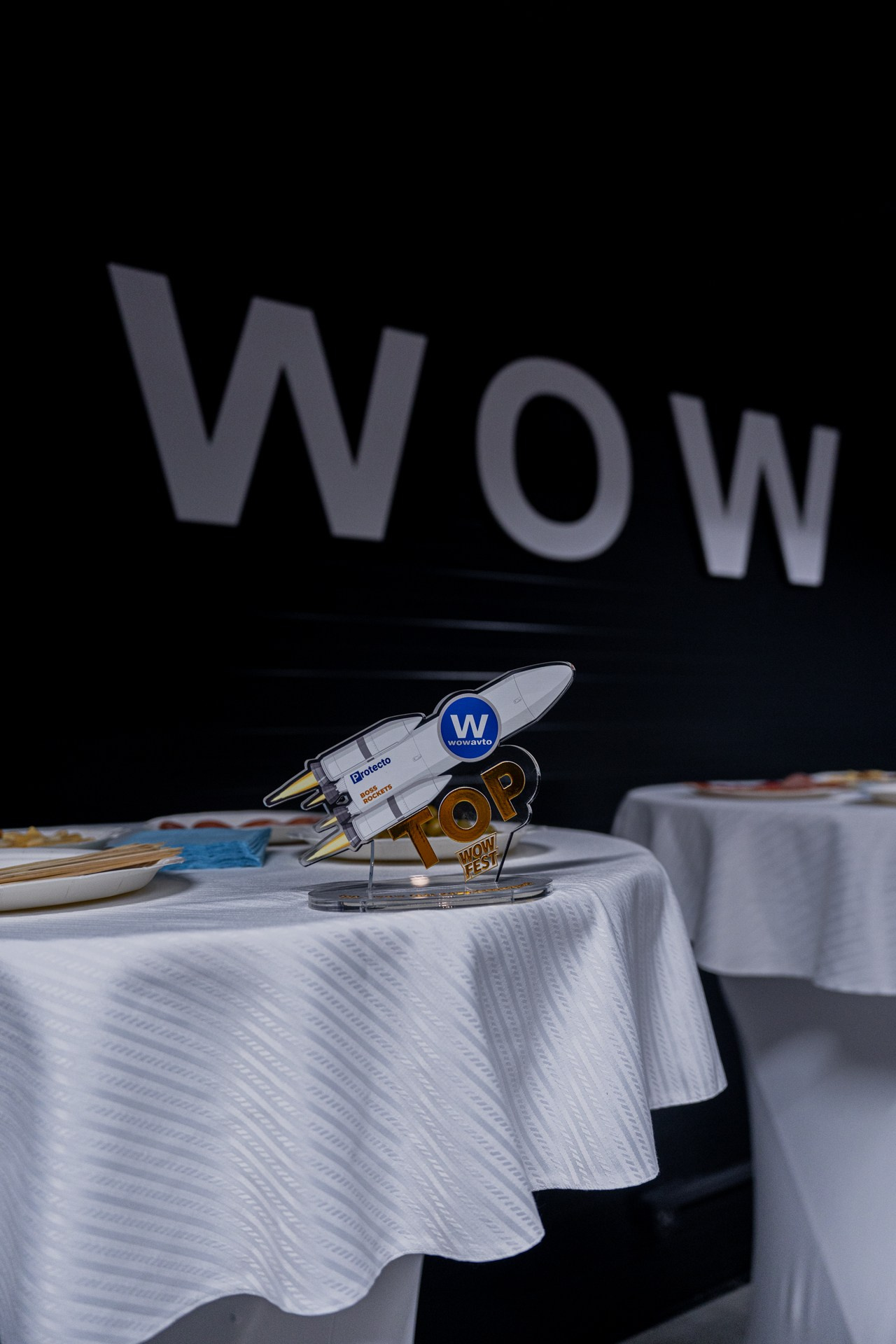 WOWFest Красноярск. Репортажный фотограф Виктория Павлюкова
