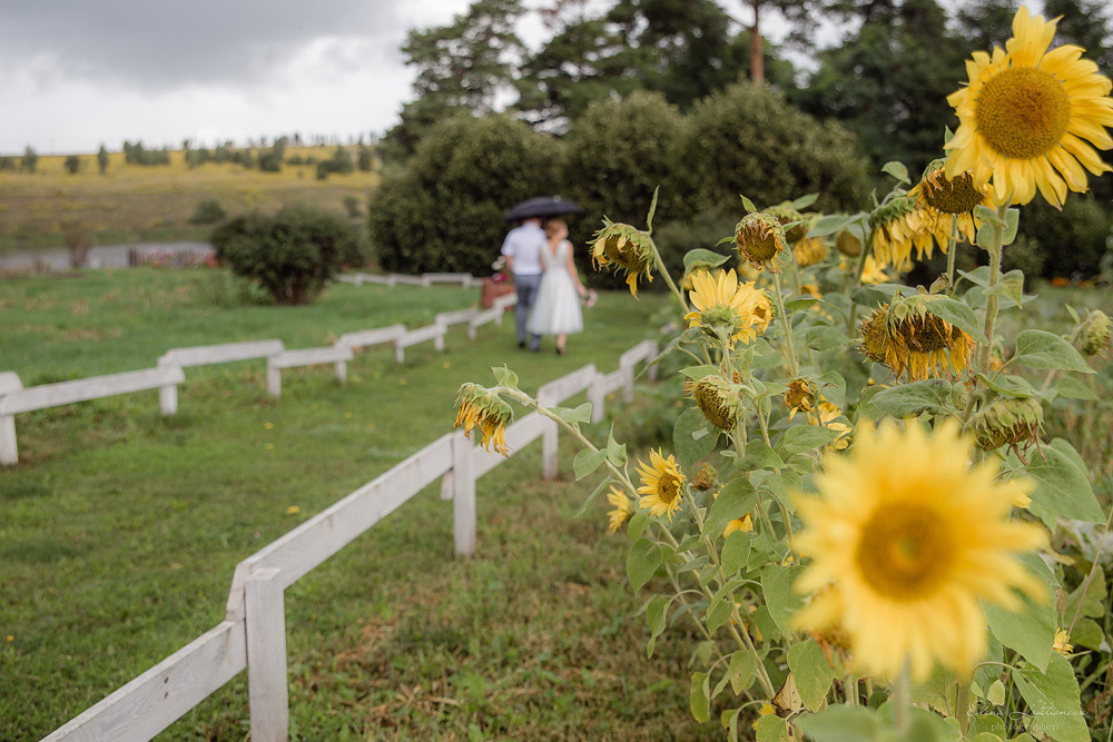 Свадебный фотограф. Профессиональный фотограф в Подольске Елена Локтионова