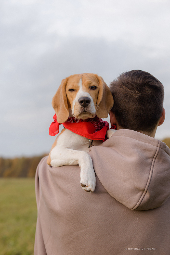 Love story лавстори. Профессиональный фотограф в Подольске Елена Локтионова