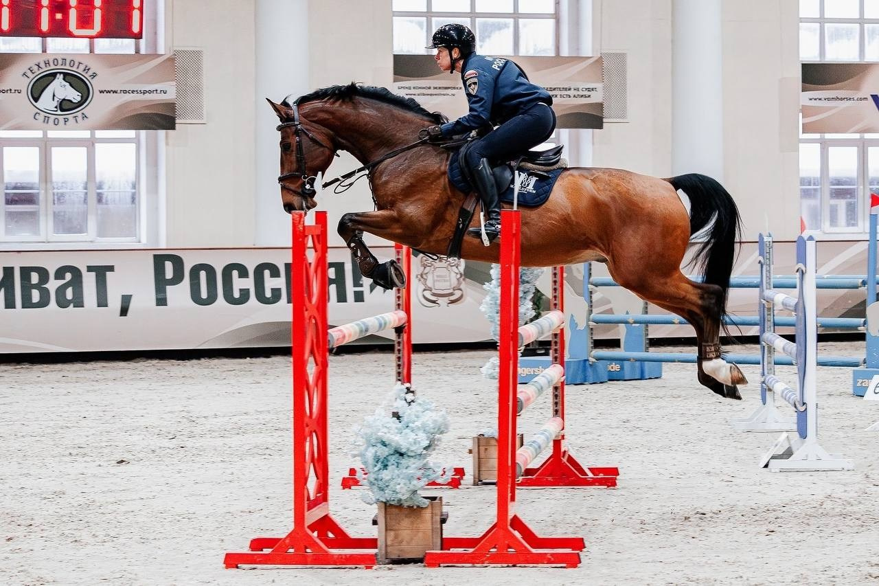 ВСЕРОССИЙСКИЕ СОРЕВНОВАНИЯ ПО КОНКУРУ НА ПРИЗЫ КСК «ВИВАТ, РОССИЯ». Куракина Дарья • Конный фотограф