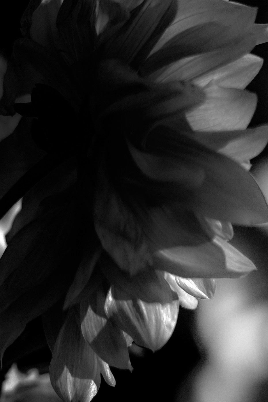 ПОРТРЕТ. Портретный и семейный фотограф в Мариуполе, РФ. Даша Жогло