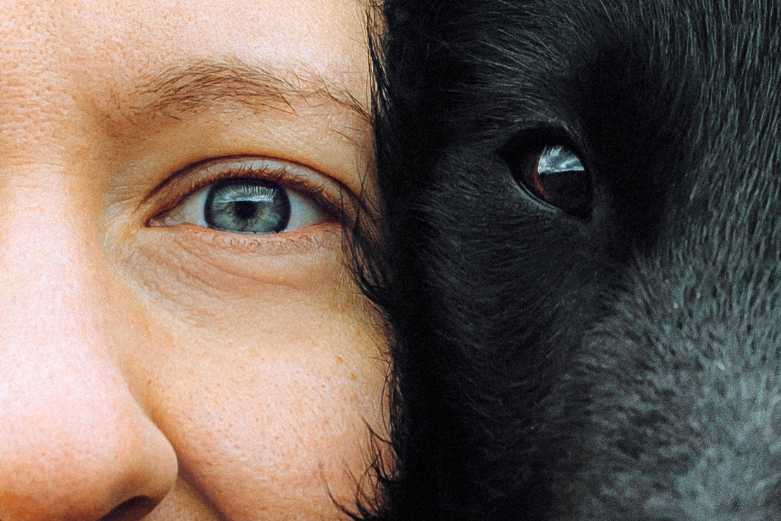 Настя и Сага