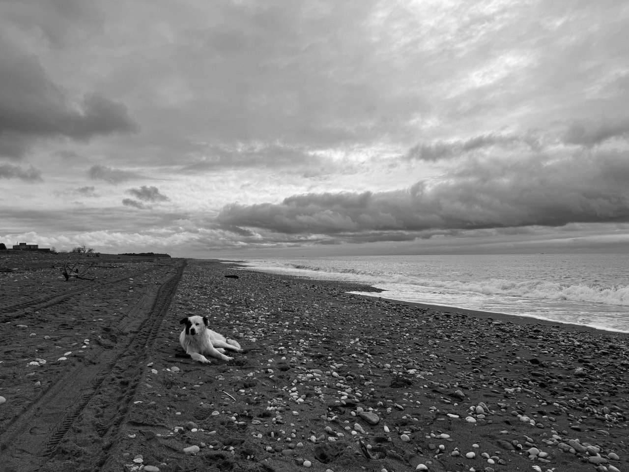 Пицунда. Профессиональные фотосессии в Москве| Евгения Черенкова