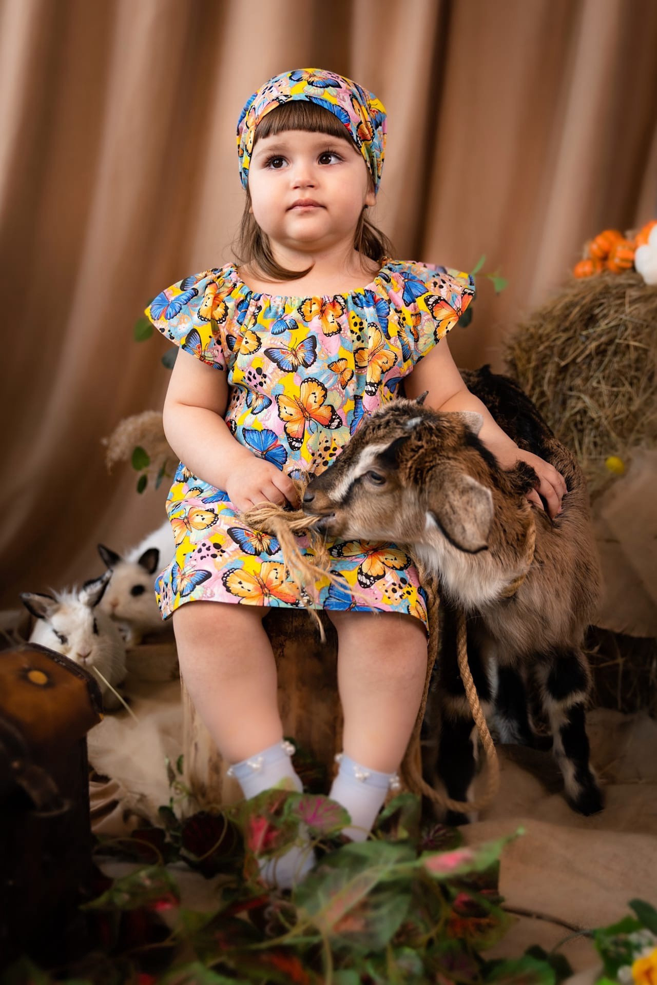 Фотодень с козлёнком и цыплятами. Фотограф Крещения, а также семейный и детский фотограф в Оренбурге