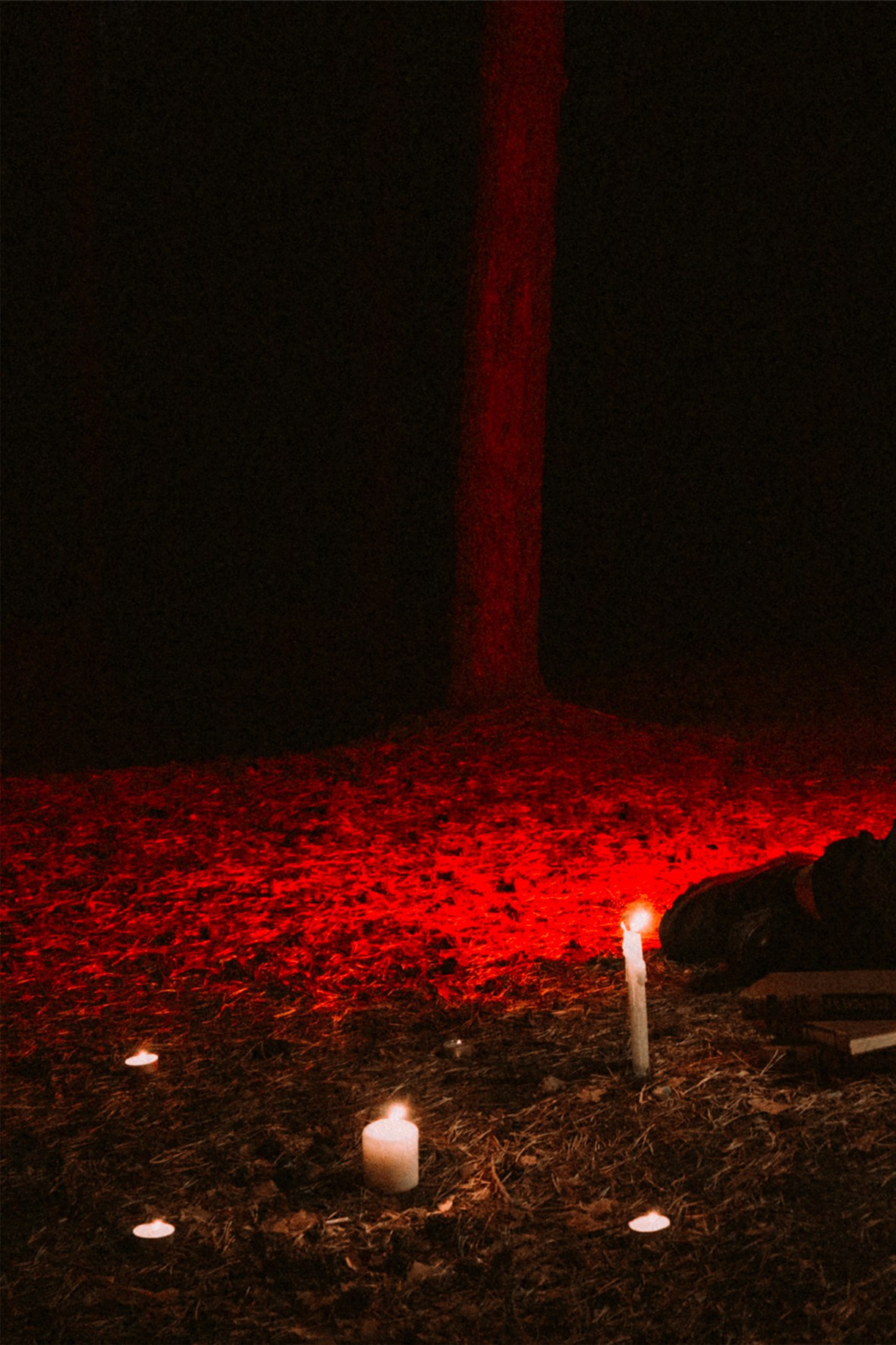 ДАРЬЯ. Фотограф и дизайнер фотоальбомов Анастасия Жданюк