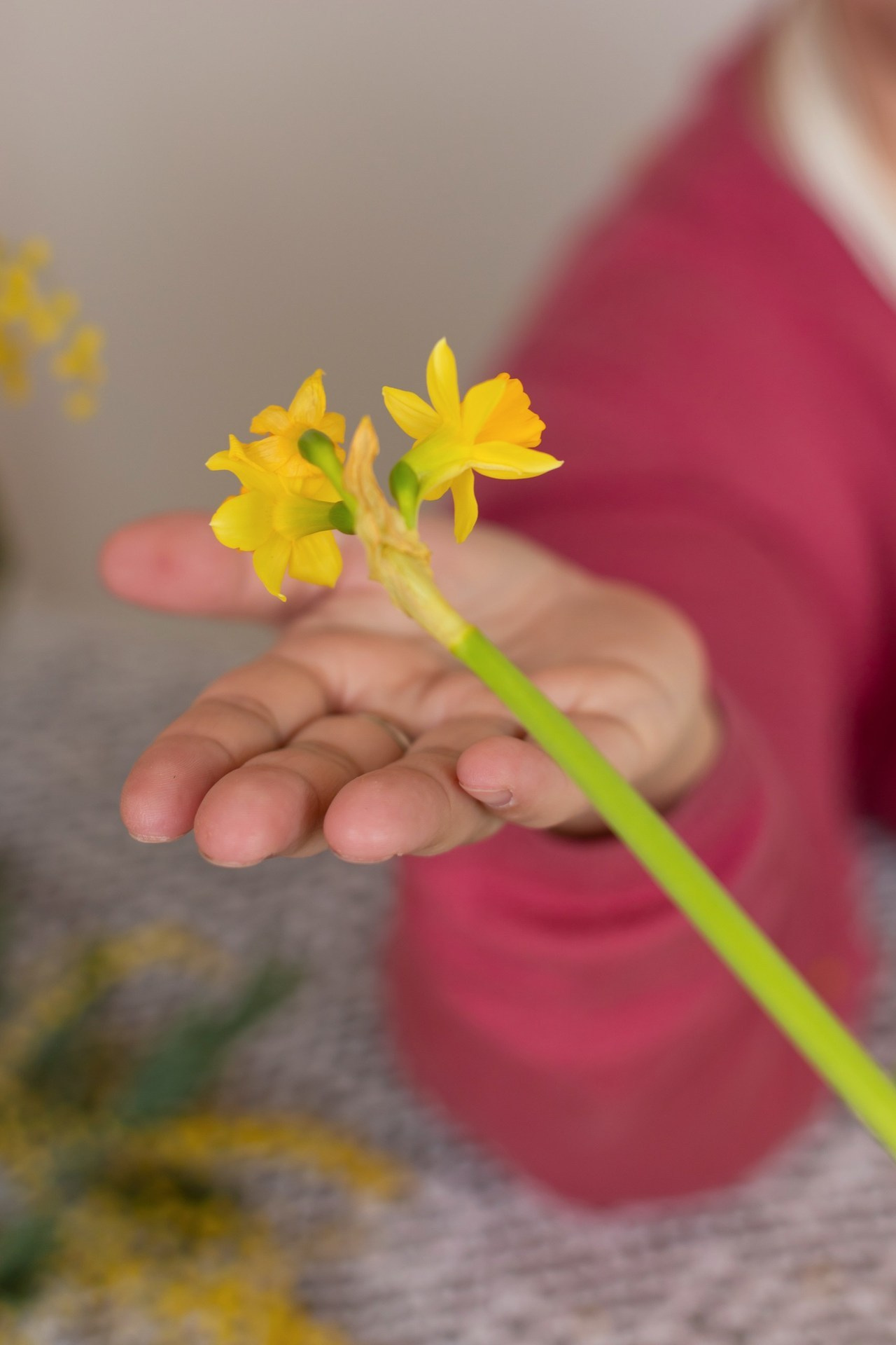 Отзывы. Марина Шаймухаметова. Фотограф в Уфе