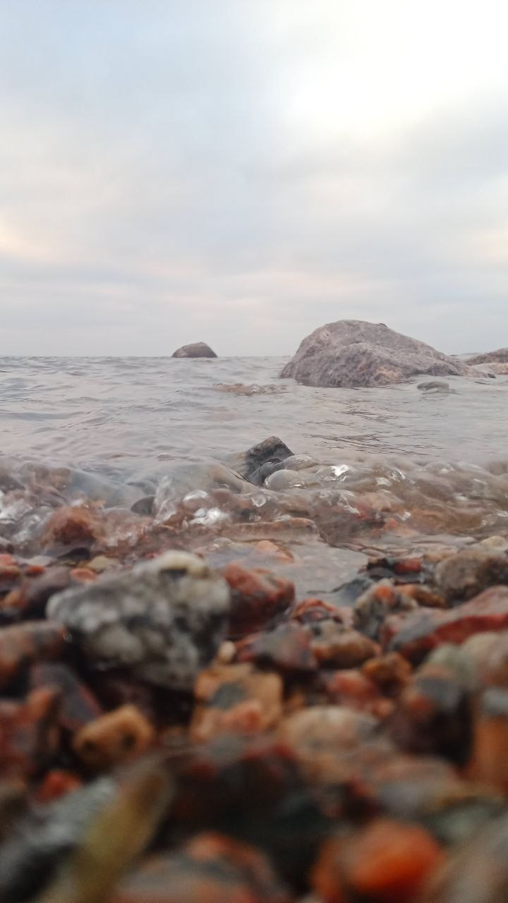 Красуйся, град Петров!. Фотокружок «Видоискатель» ГБОУ СОШ № 291