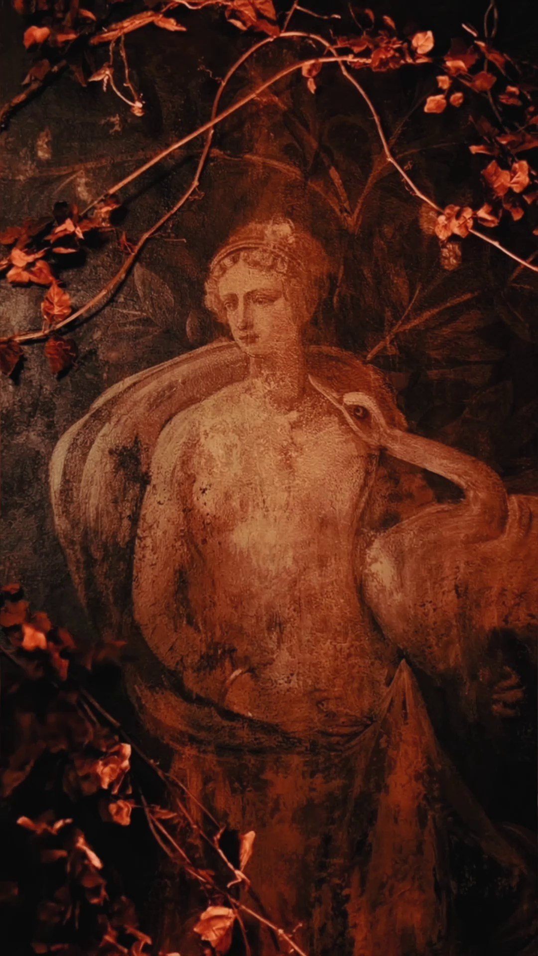 REELS. Видеограф Владимир Чернов