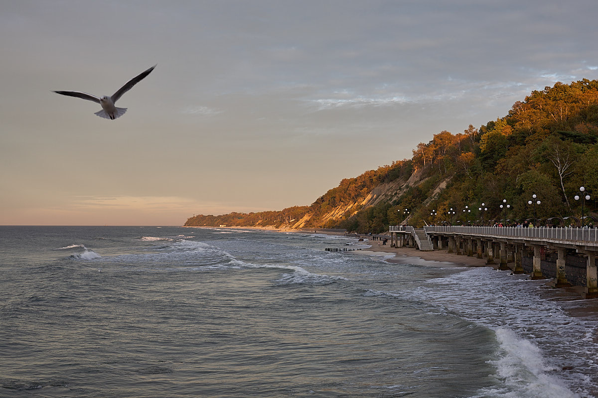 Светлогорск. Экскурсии по Калининграду