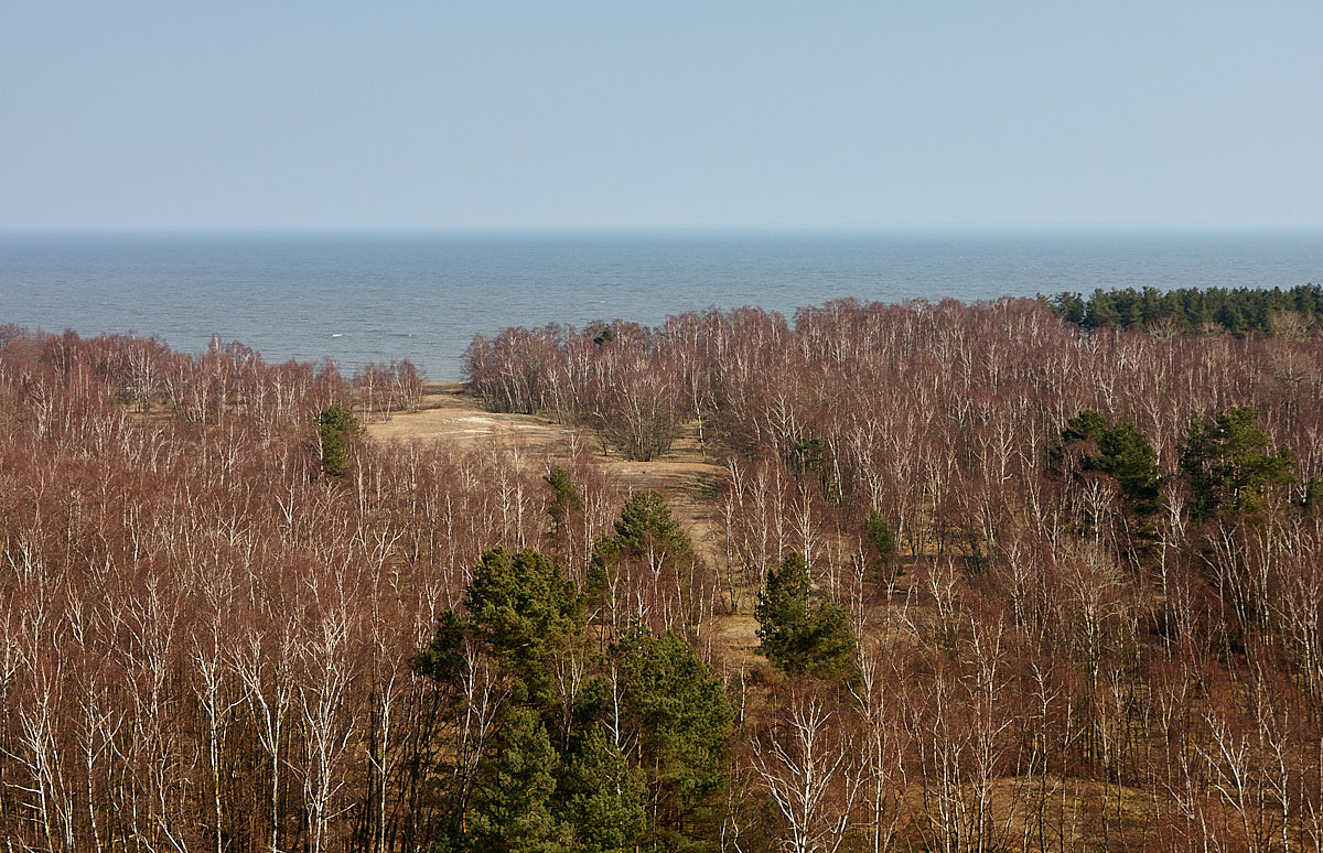 Куршская коса. Экскурсии по Калининграду