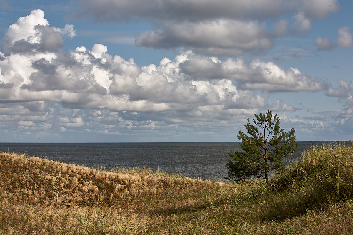 Куршская коса. Экскурсии по Калининграду
