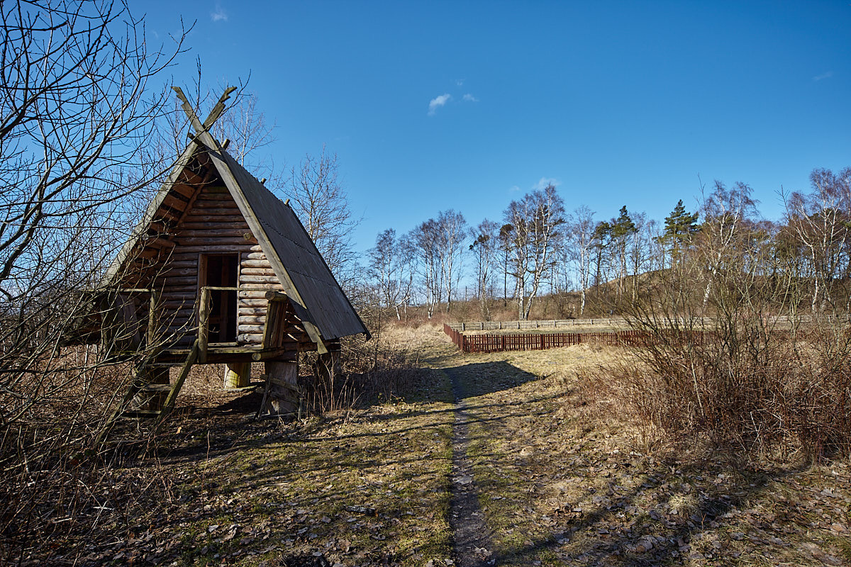 Куршская коса. Экскурсии по Калининграду