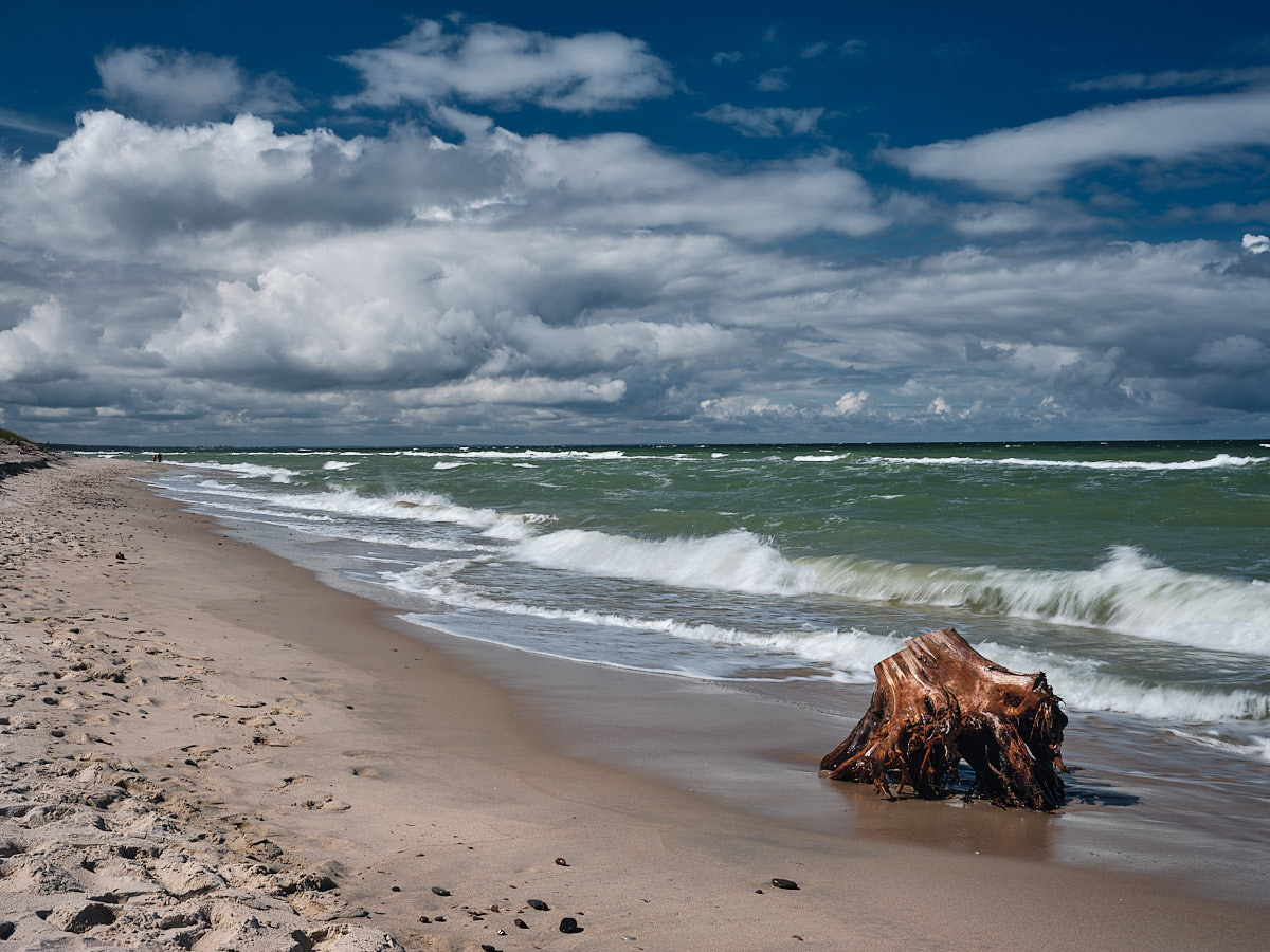 Куршская коса. Экскурсии по Калининграду
