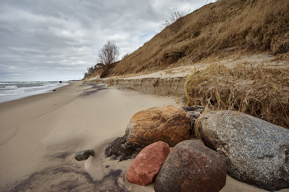 Куршская коса. Экскурсии по Калининграду