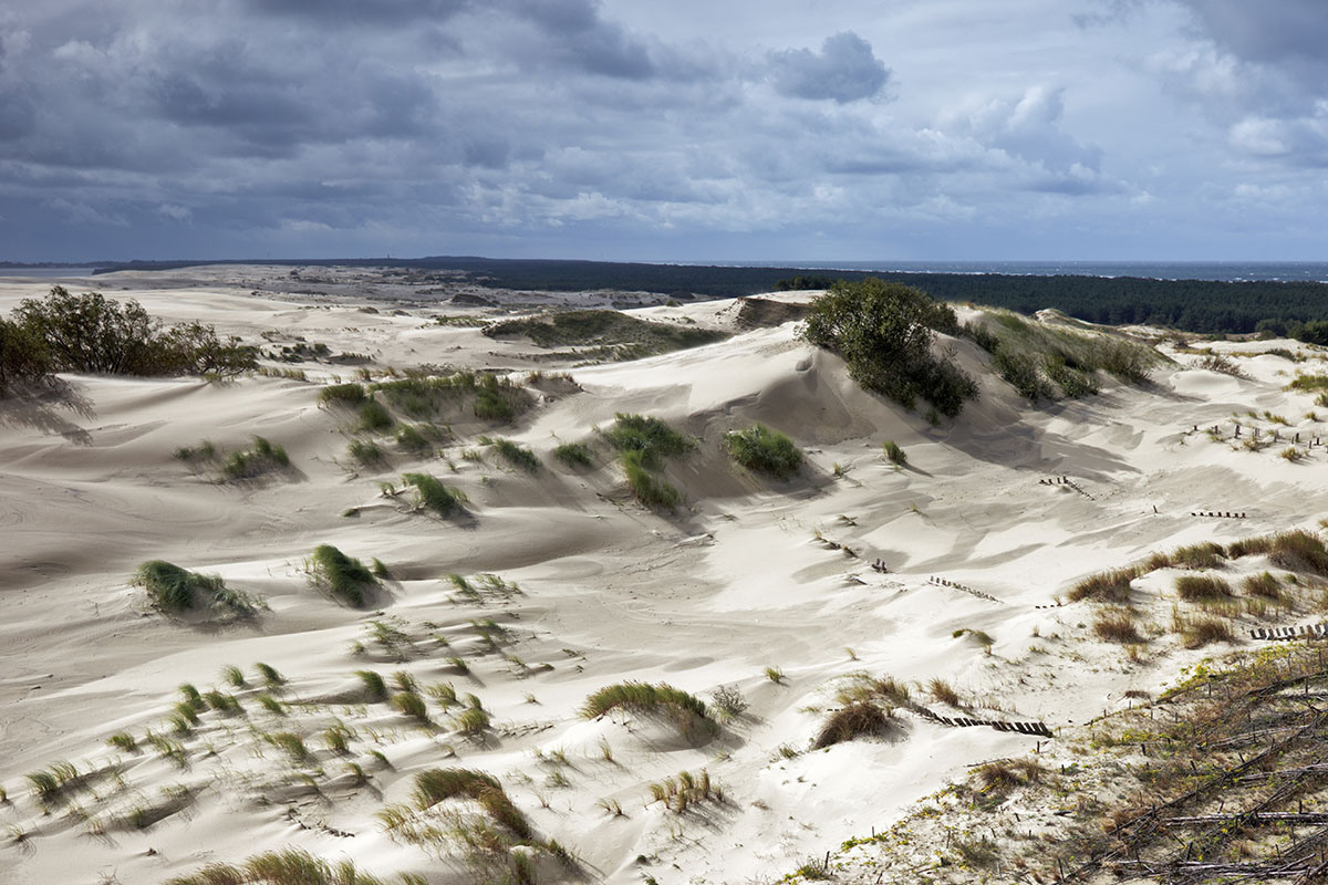 Куршская коса. Экскурсии по Калининграду