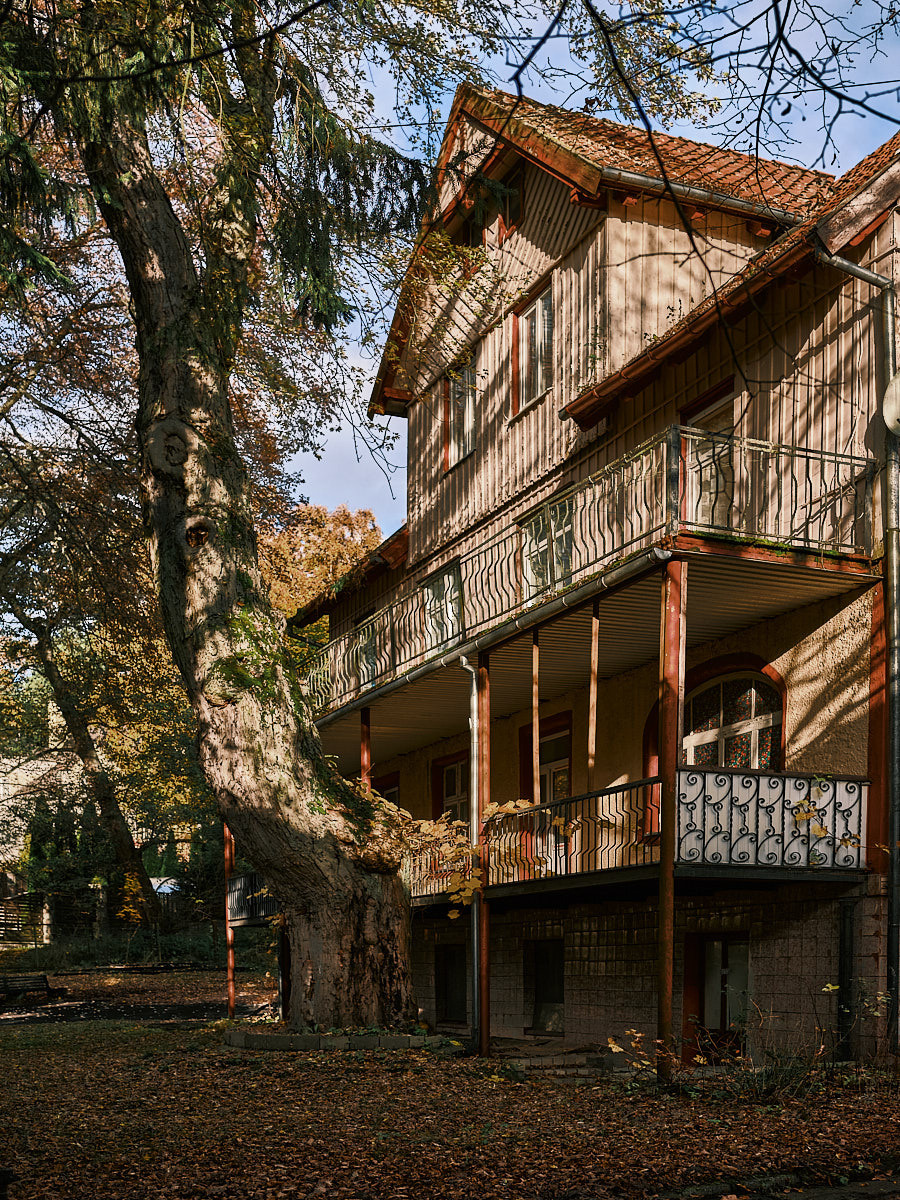 Светлогорск. Экскурсии по Калининграду