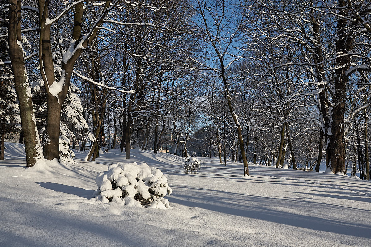 Калининград. Экскурсии по Калининграду