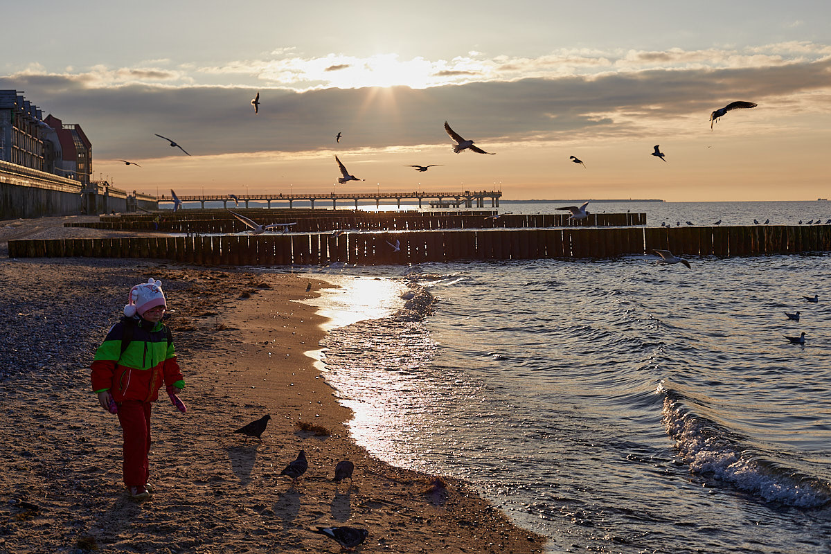 Зеленоградск. Экскурсии по Калининграду