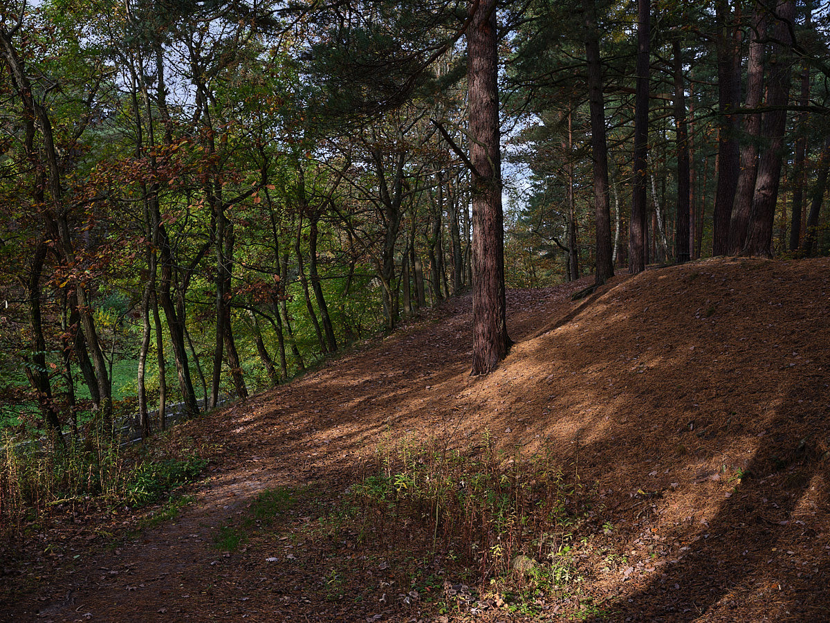 Светлогорск. Экскурсии по Калининграду