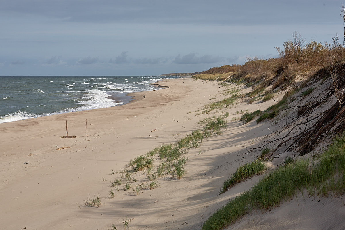 Куршская коса. Экскурсии по Калининграду
