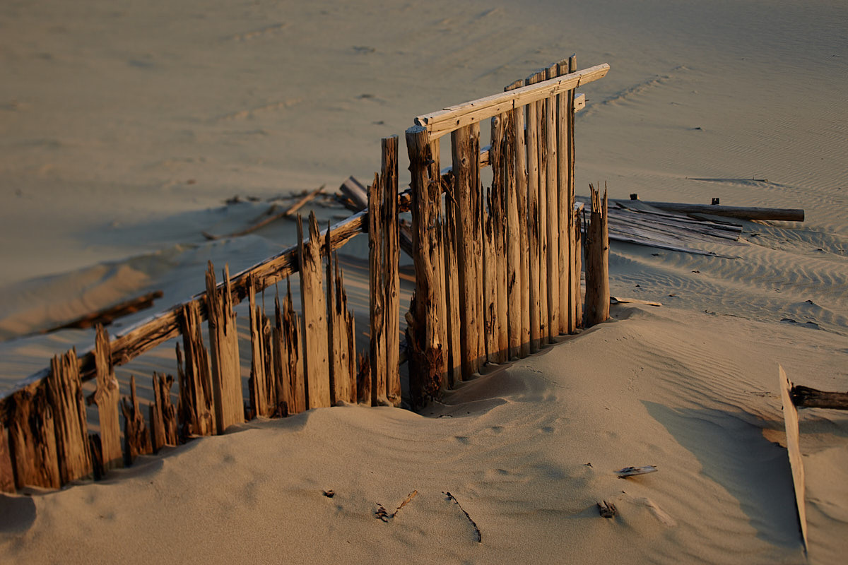 Куршская коса. Экскурсии по Калининграду