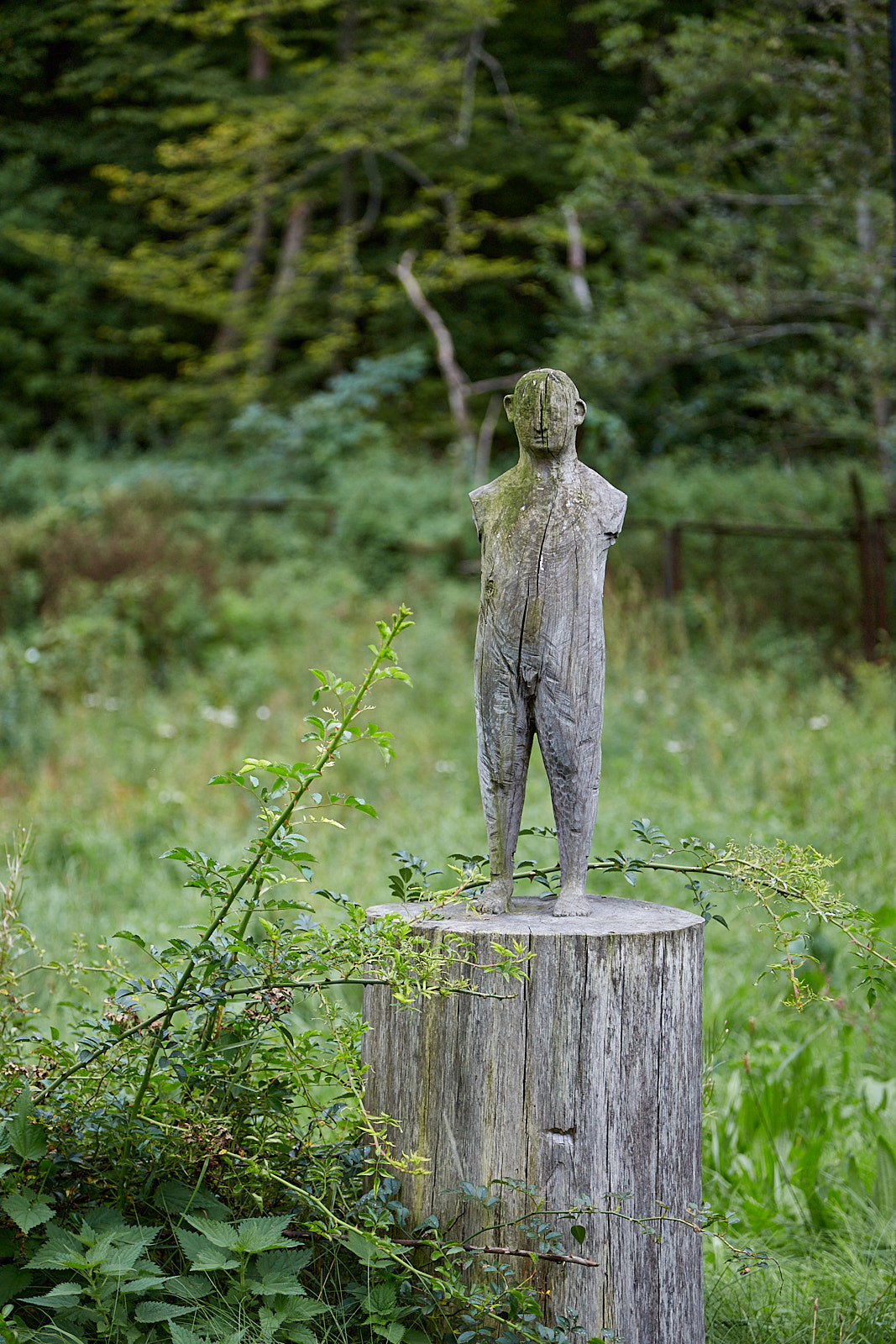 Светлогорск. Экскурсии по Калининграду