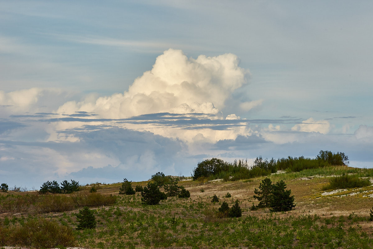 Куршская коса. Экскурсии по Калининграду