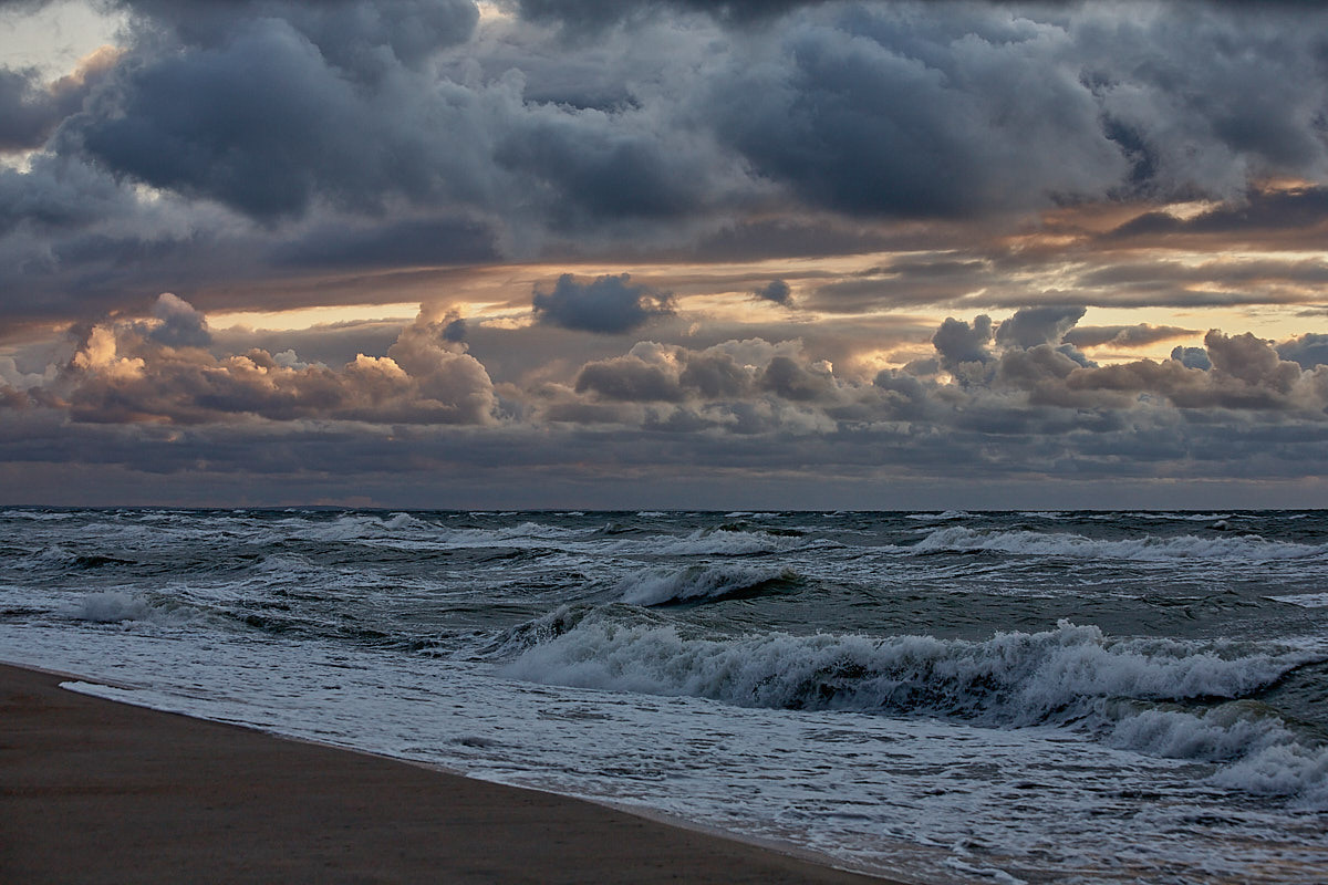 Куршская коса. Экскурсии по Калининграду