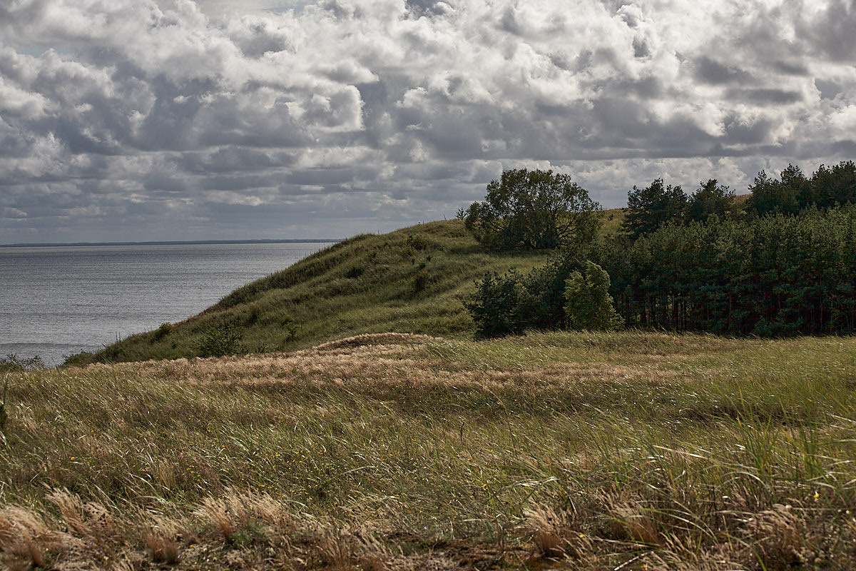 Куршская коса. Экскурсии по Калининграду