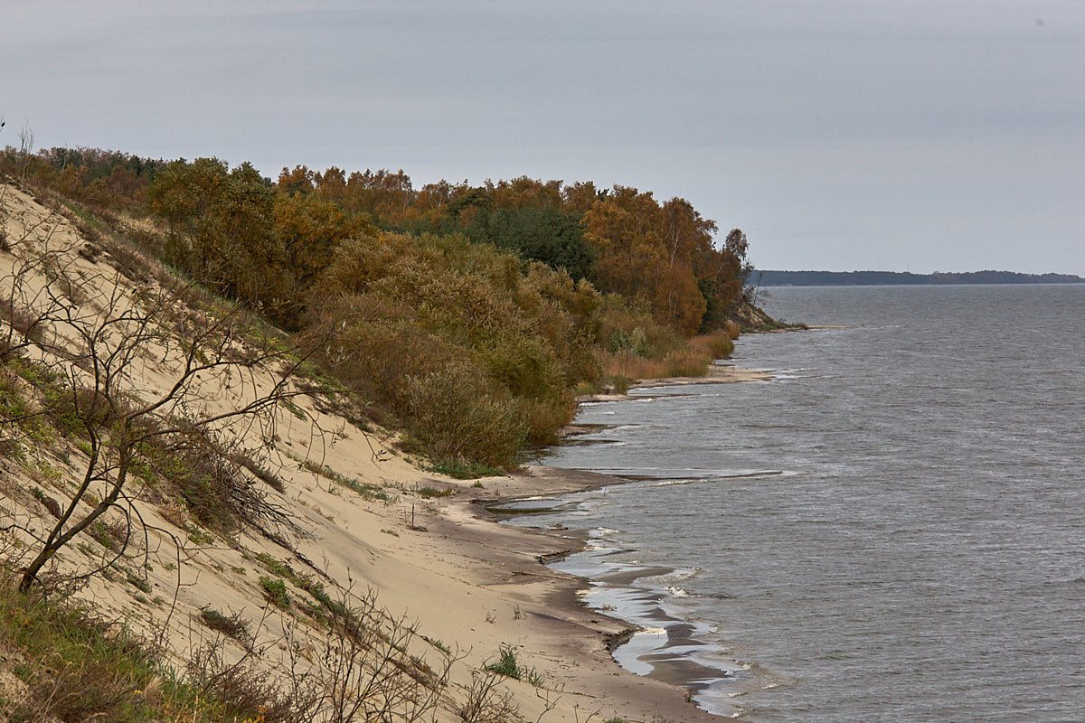 Куршская коса. Экскурсии по Калининграду