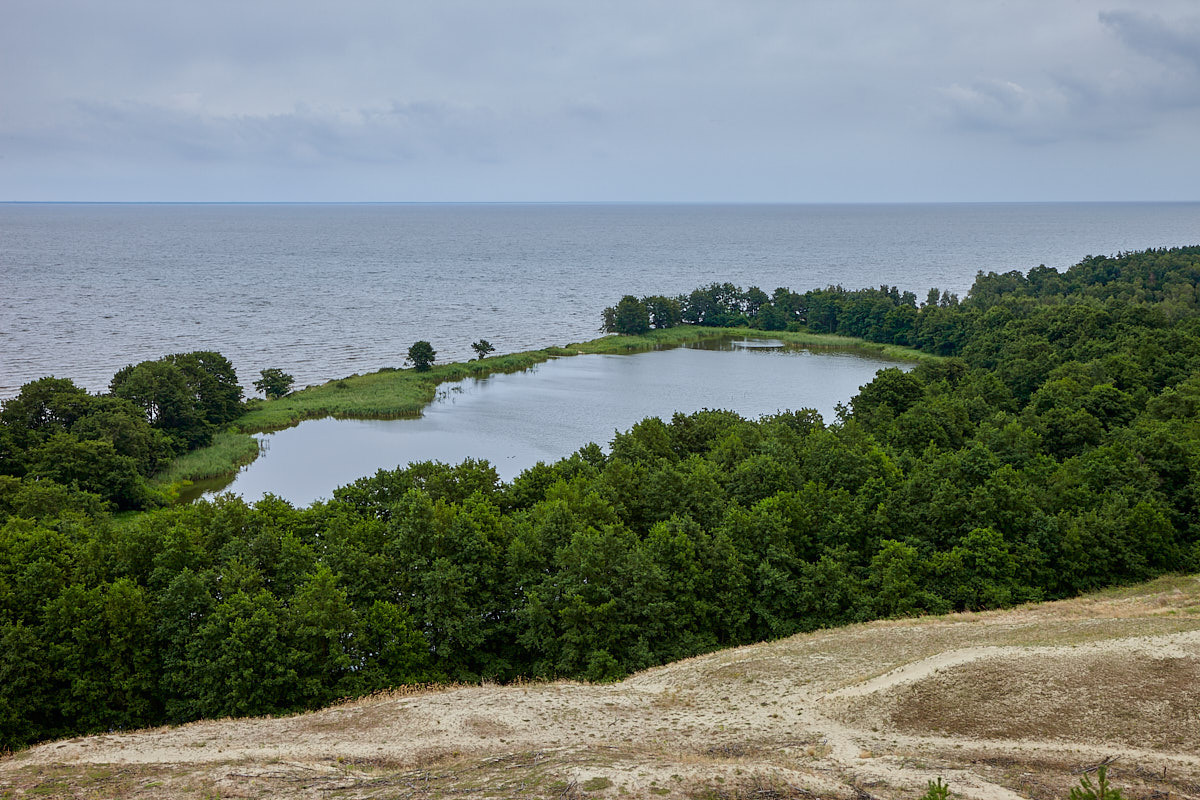 Куршская коса. Экскурсии по Калининграду