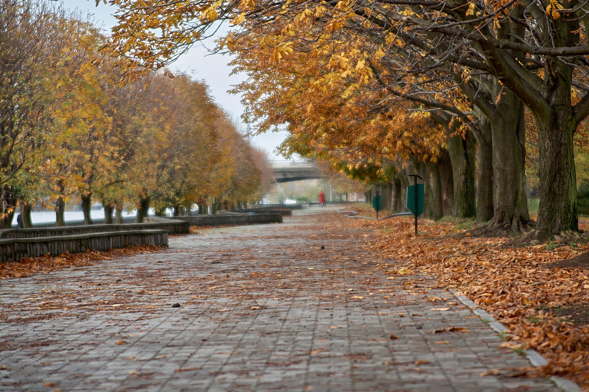 Калининград. Экскурсии по Калининграду