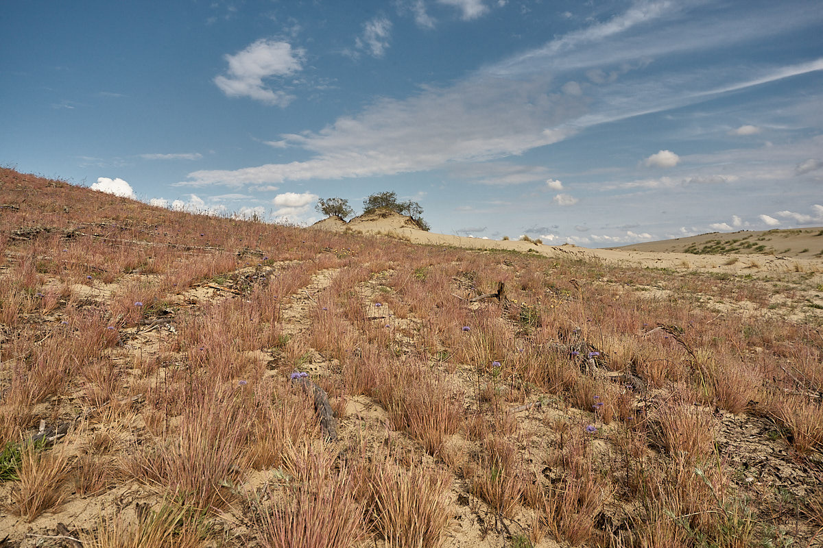 Куршская коса. Экскурсии по Калининграду