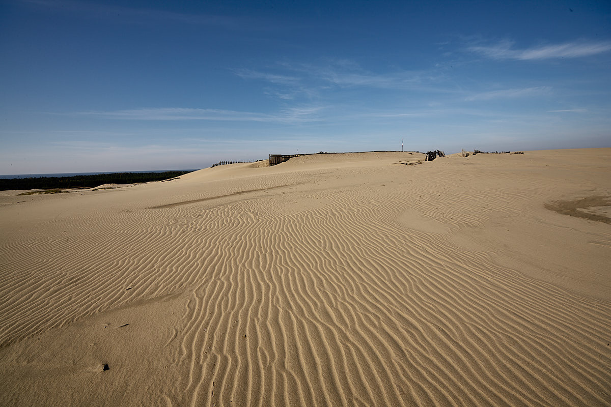 Куршская коса. Экскурсии по Калининграду