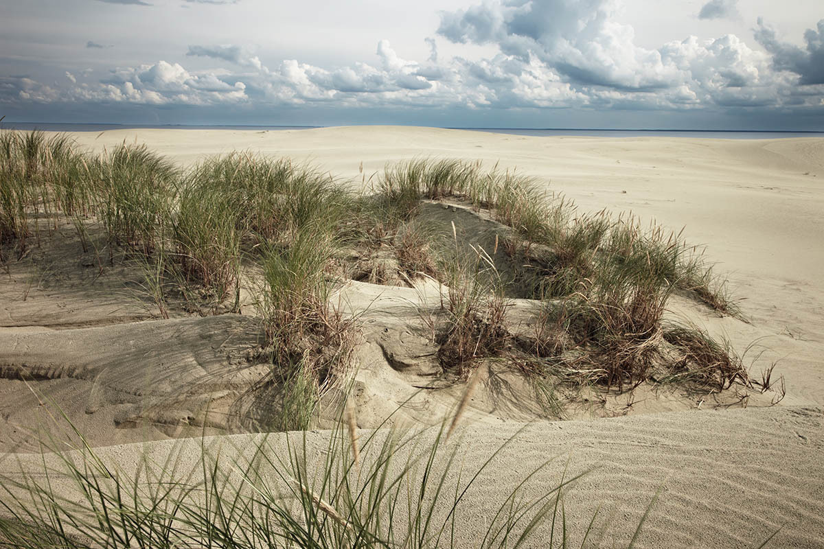 Куршская коса. Экскурсии по Калининграду