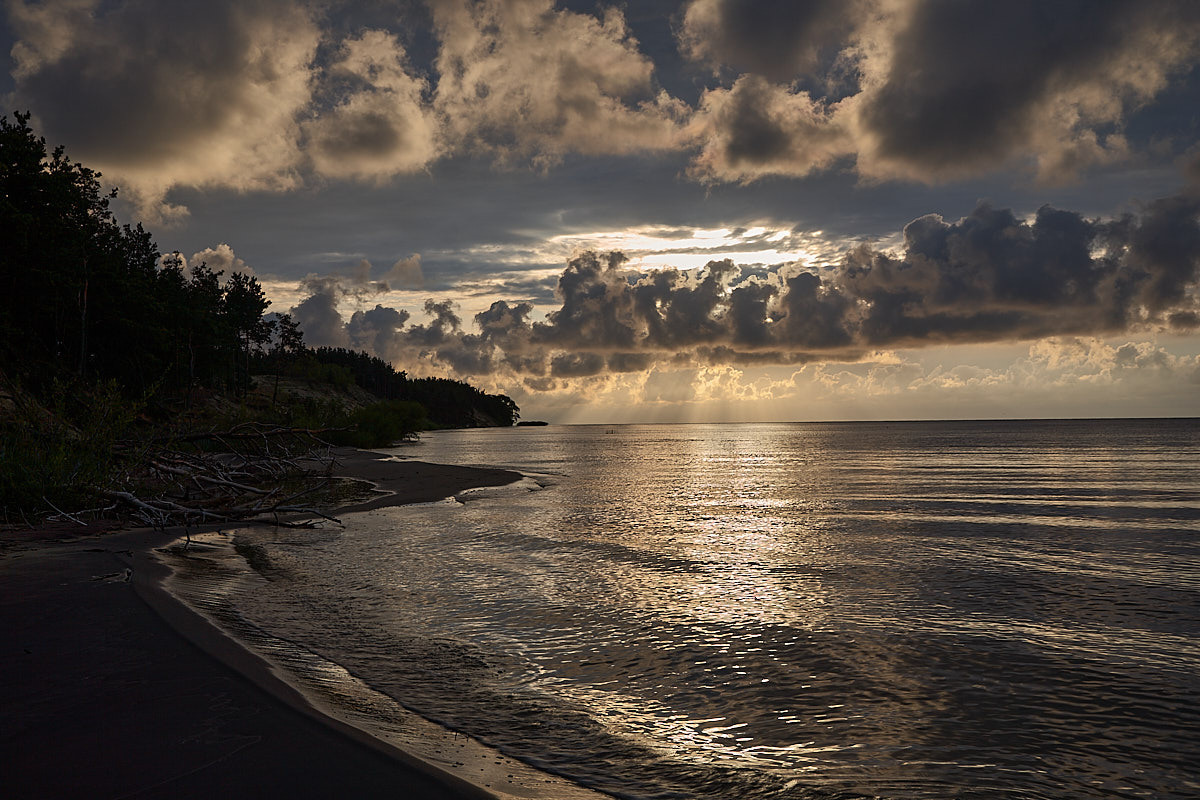 Куршская коса. Экскурсии по Калининграду