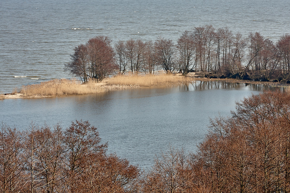 Куршская коса. Экскурсии по Калининграду