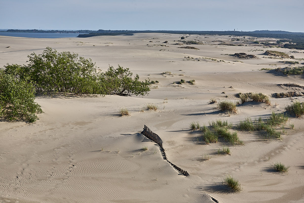 Куршская коса. Экскурсии по Калининграду