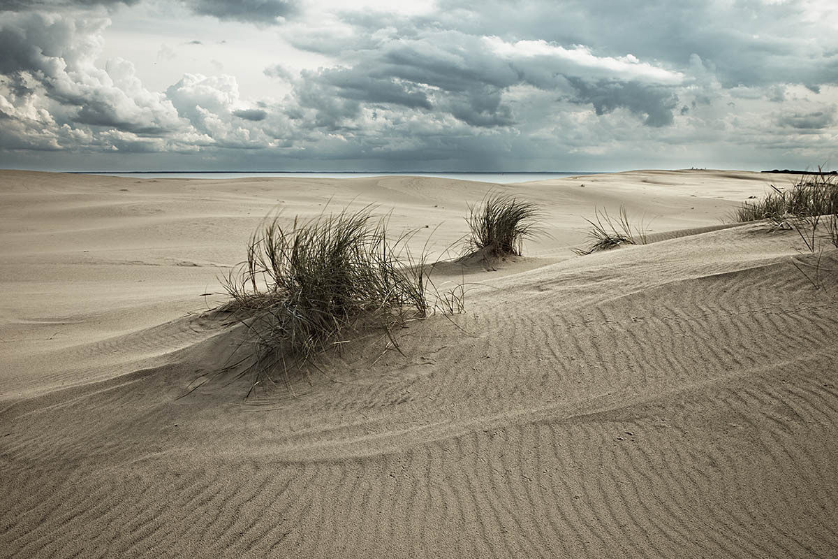 Куршская коса. Экскурсии по Калининграду