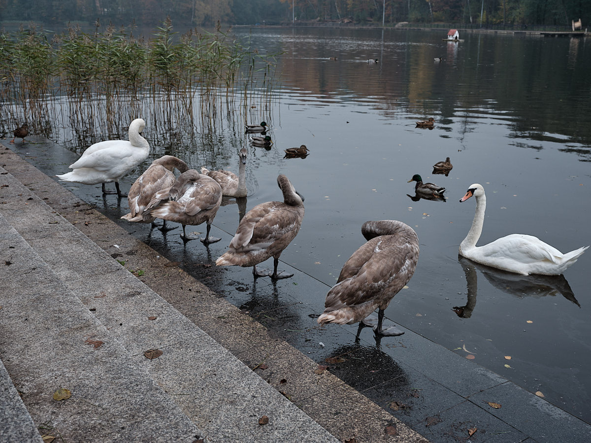 Светлогорск. Экскурсии по Калининграду