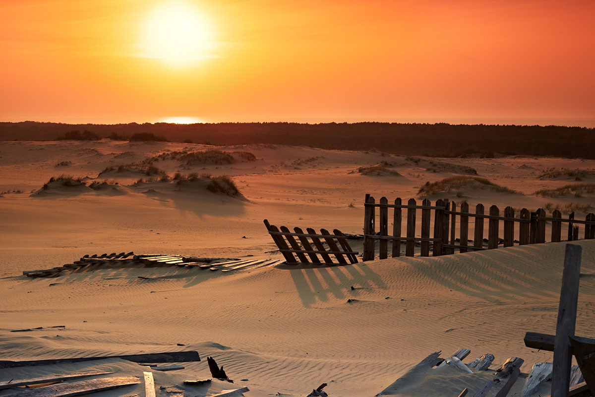 Куршская коса. Экскурсии по Калининграду