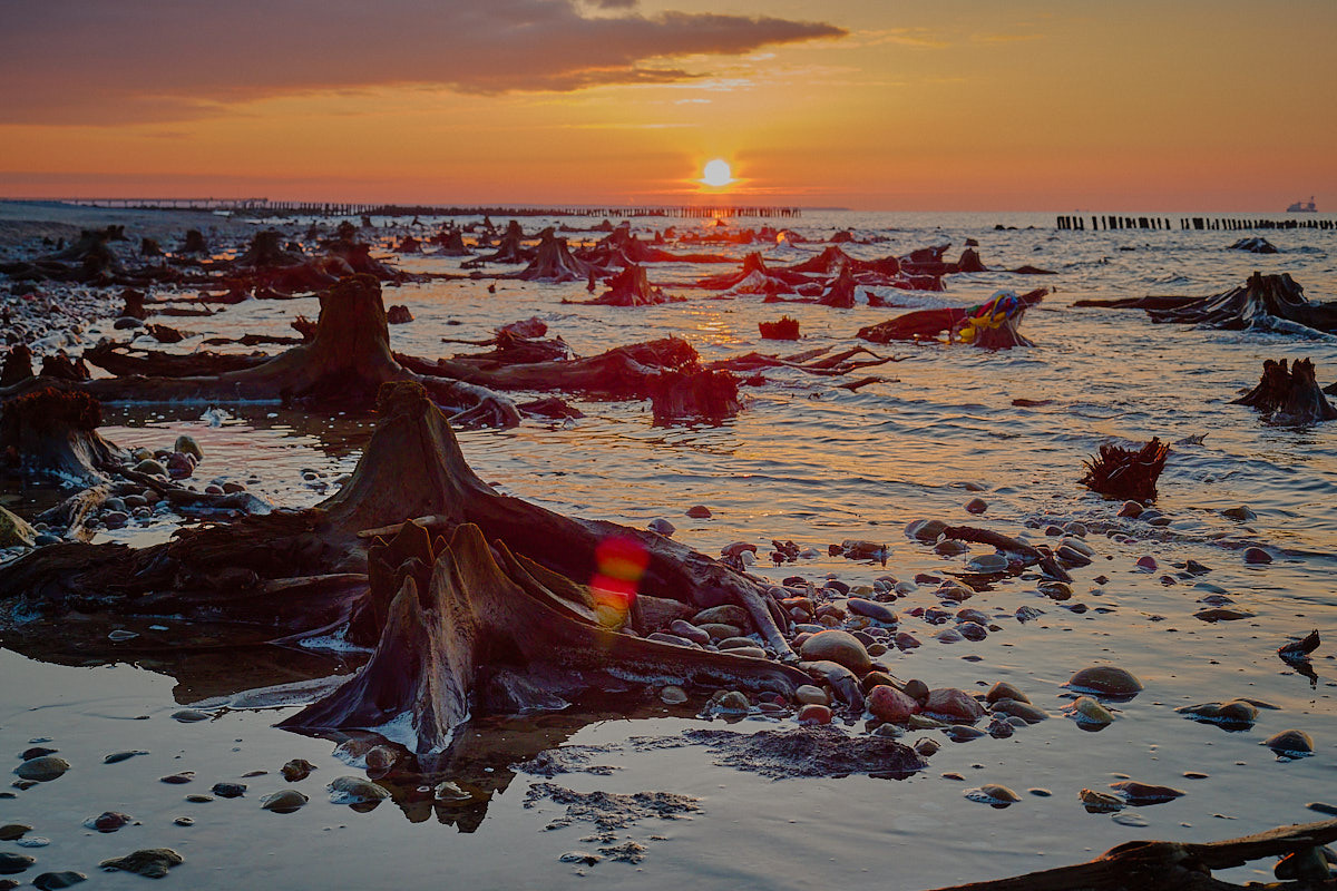 Зеленоградск. Экскурсии по Калининграду